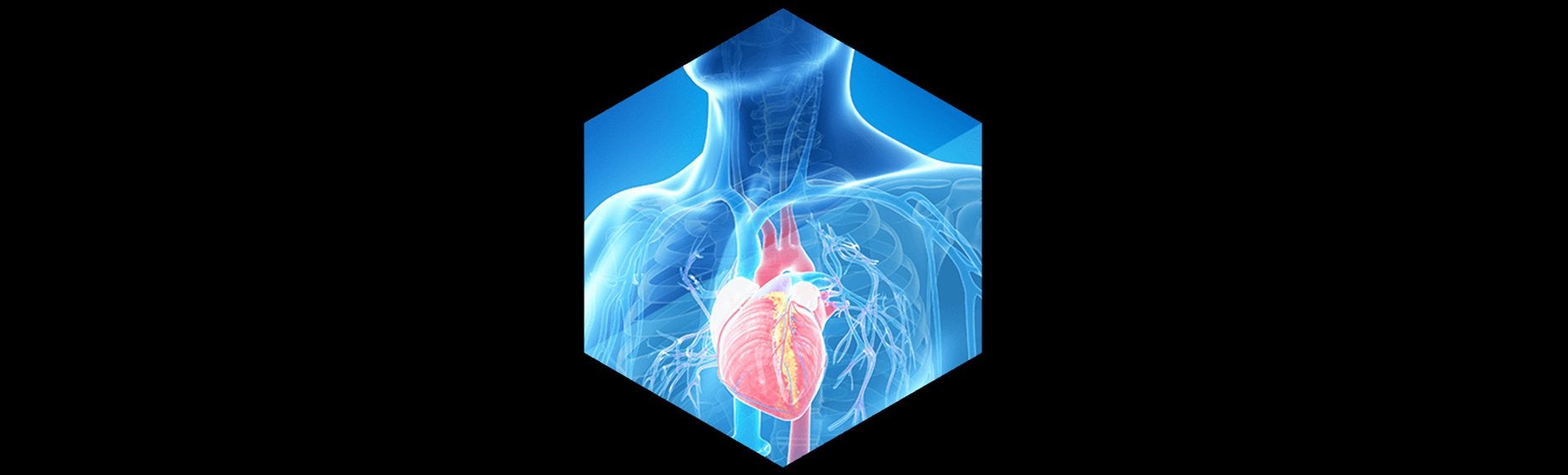 Comprehensive Treatment Plans